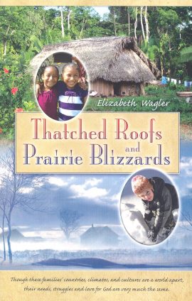 Thatched Roofs and Prairie Blizzards