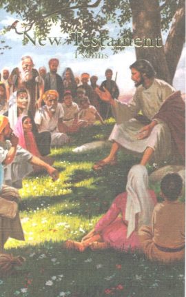 Holman Softcover New Testament