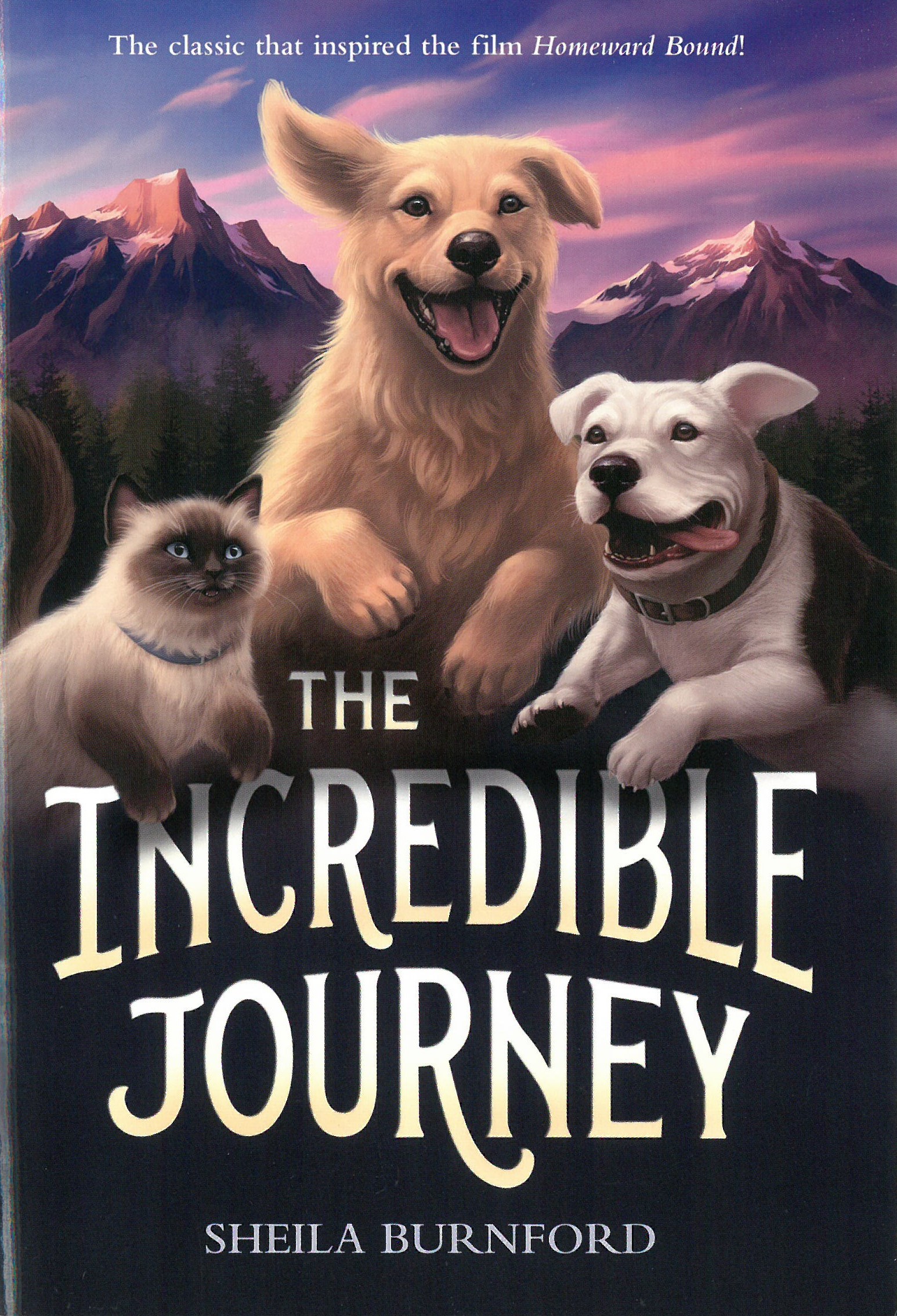 The Incredible Journey