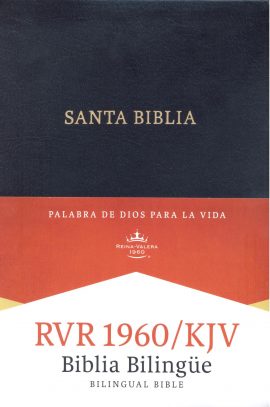 Holman Span/Eng Bilingual Bible, Imitation Leather