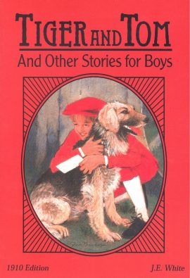 Tiger and Tom and Other Stories for Boys