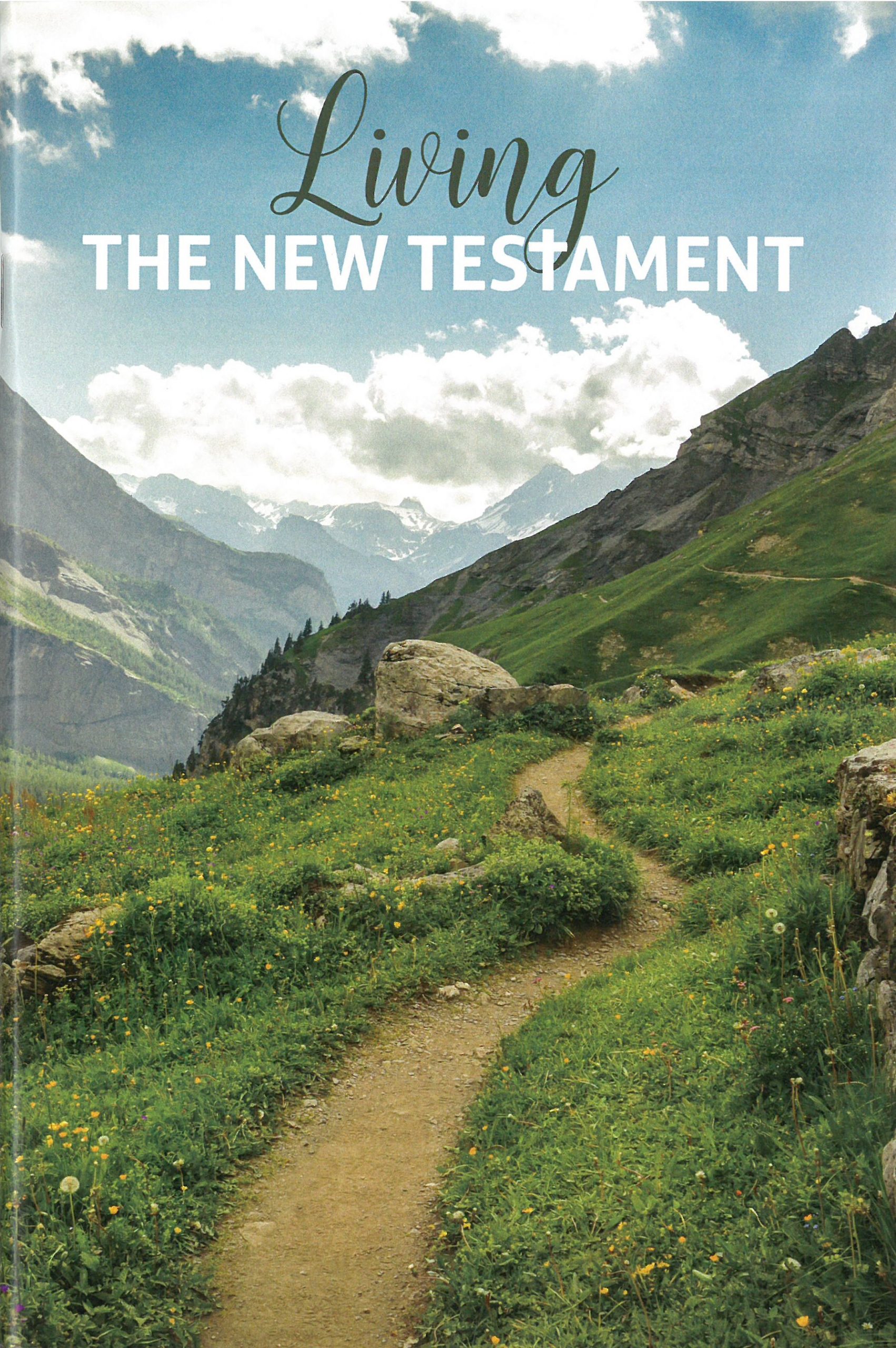 VBS, Grade 10, Living the New Testament