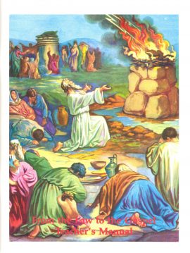 VBS Grade 6, From the Law to the Gospel, Teacher’s Manual