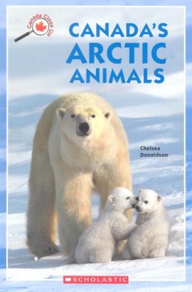 Canada's Arctic Animals