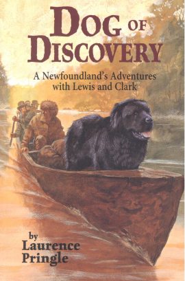 Dog of Discovery