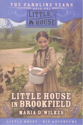 Little House in Brookfield