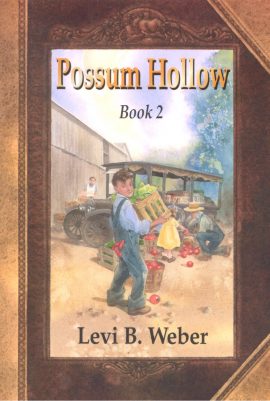 Possum Hollow, book 2