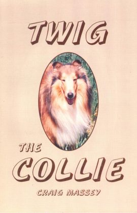 Twig the Collie