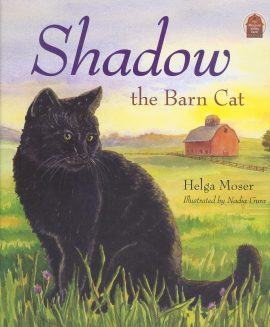 Shadow the Barn Cat