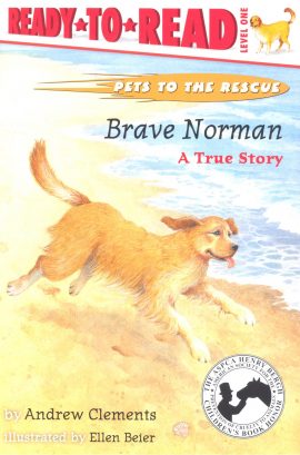 Brave Norman