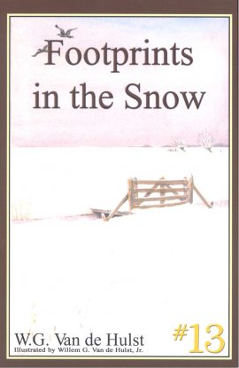 Footprints in the Snow