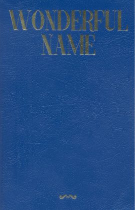 Wonderful Name