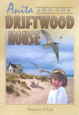 Anita and the Driftwood House