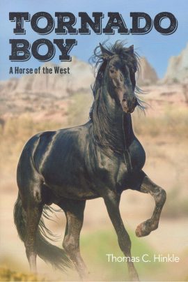 Tornado Boy: A Horse of the West