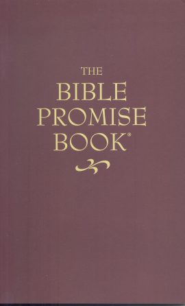 The Bible Promise Book