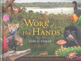 The Work of His Hands