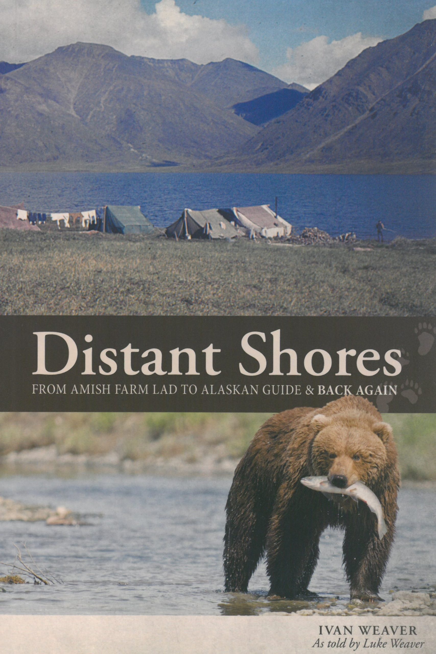 Distant Shores