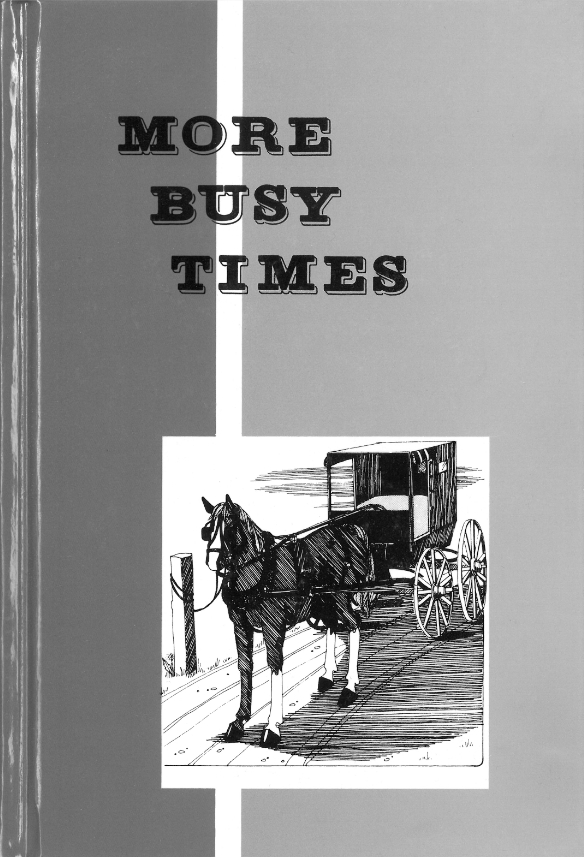 Pathway More Busy Times Reader (Grade 2)