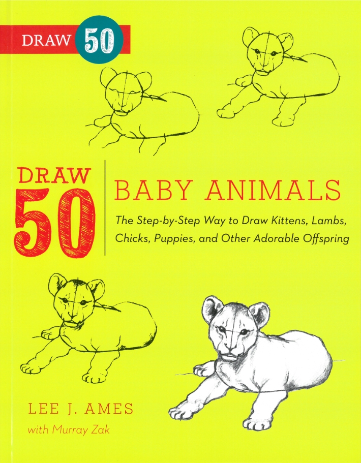 Draw 50 Baby Animals