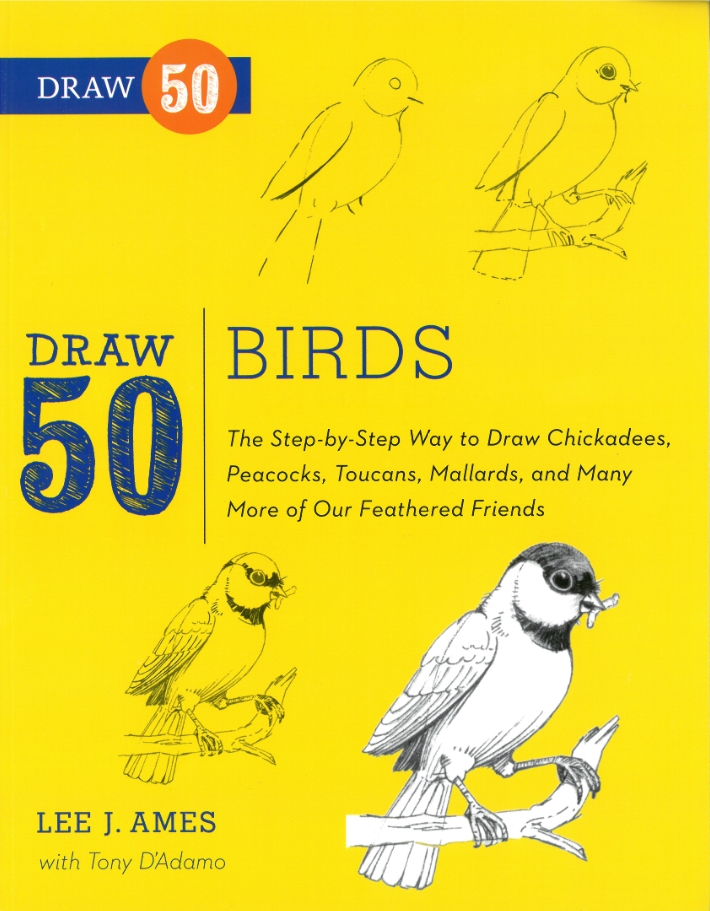 Draw 50 Birds