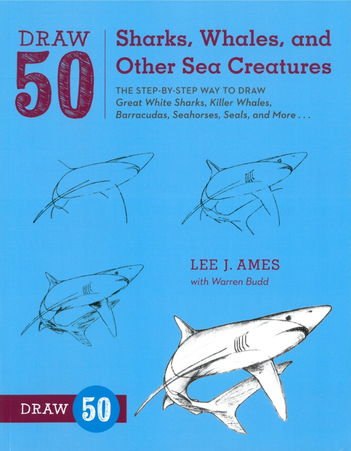 Draw 50 Sharks, Whales and Other Sea Creatures