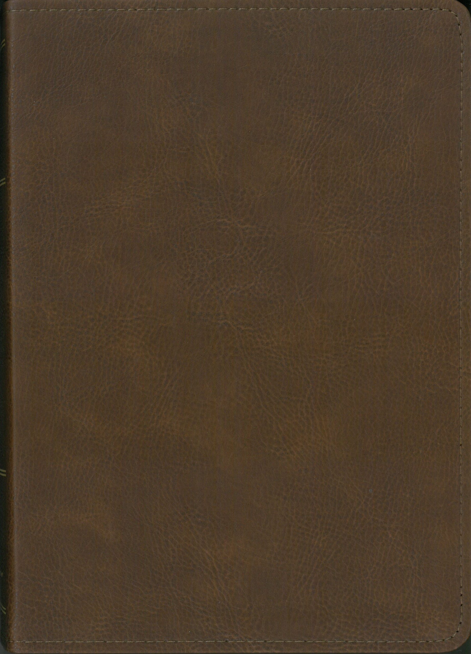 Zondervan Thompson Chain, Standard Size, Brown LeatherSoft