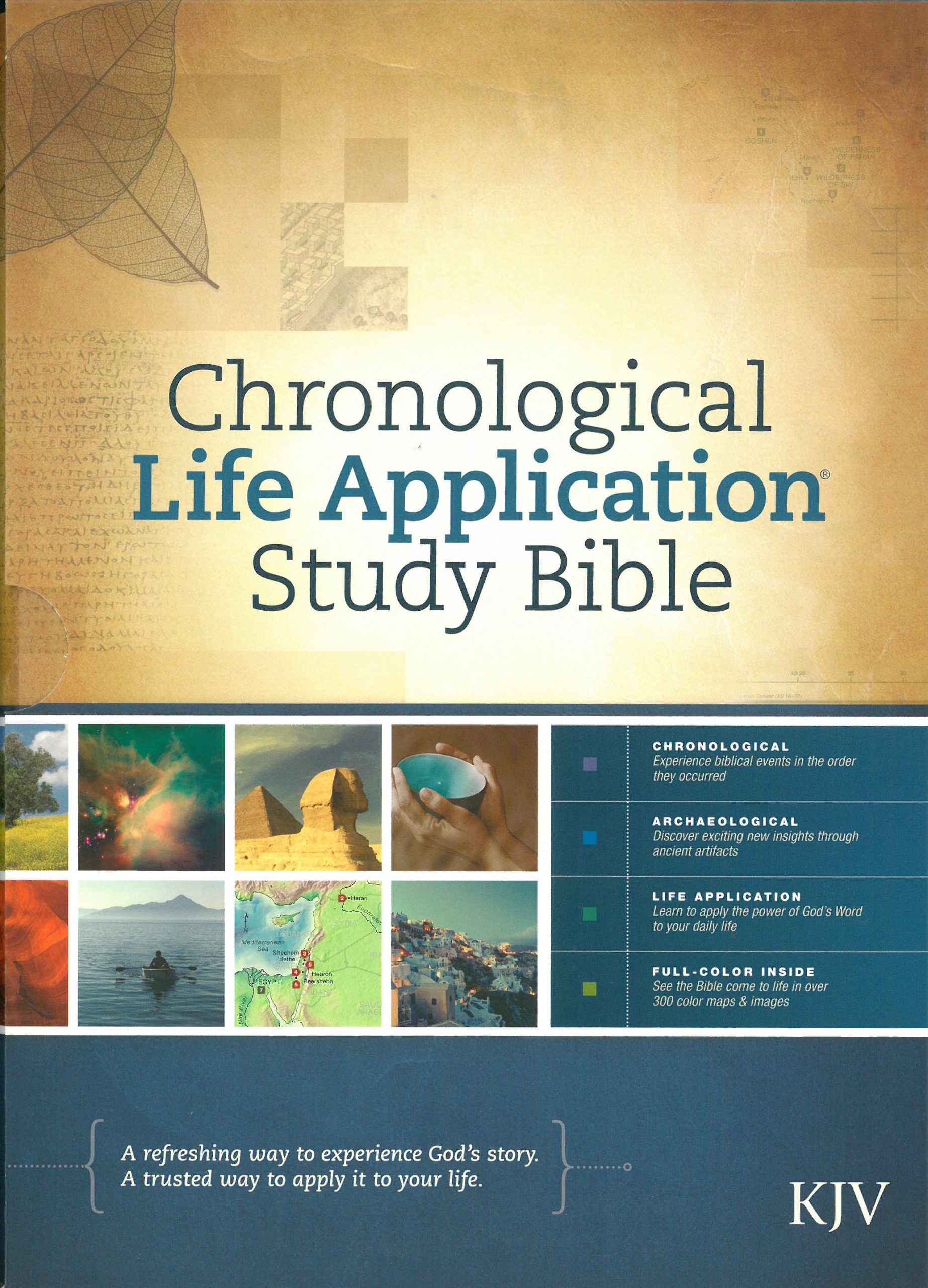 Life Application Study Bible - Chronological