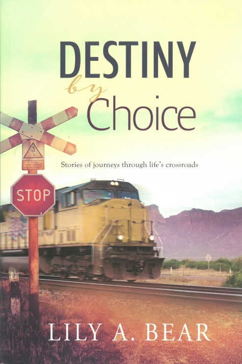 Destiny by Choice